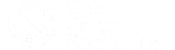 Club Centro Social Ica